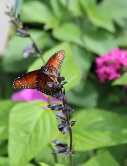 $IMG_1304.webp $IMG_1304.webp