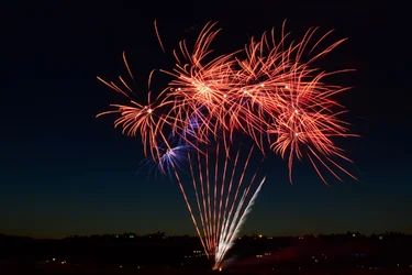 $fire work 3b.webp