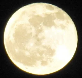 $moon.webp