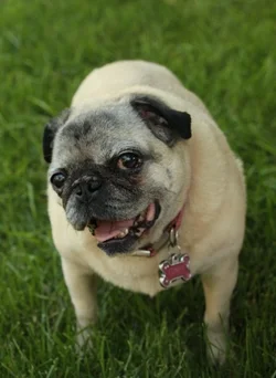 $IMG_2348crop.webp