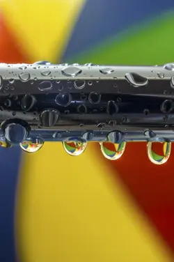 $2-Water drops.webp