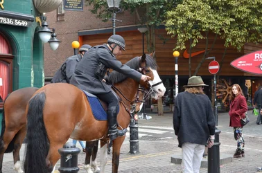 $London horse police web.webp