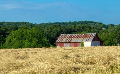 $Moyer Barn_low.jpg