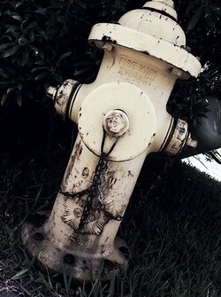 $fire hydrant singe effect.jpg