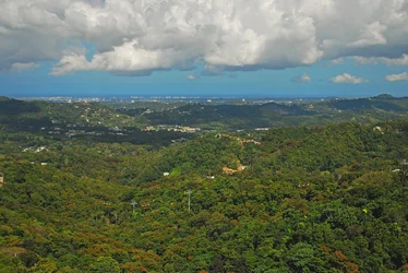 $Caguas Lookout tower PR 1600.webp