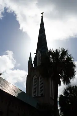 $Savannah1.jpg $Savannah1.jpg