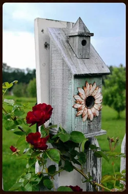 $red_rose.webp $red_rose.webp
