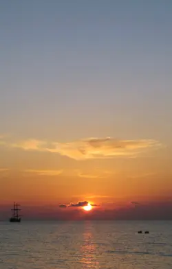 $IMG_1037.webp