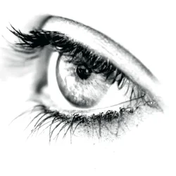 $Eye macro.webp