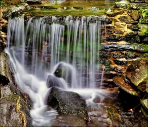 $Waterfall Fairmount Park.webp