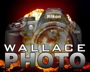 $wallace.webp