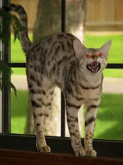 $Raja-Snarl-RED-EYES.webp