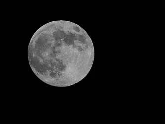 $_DSC2484-WEB-.webp