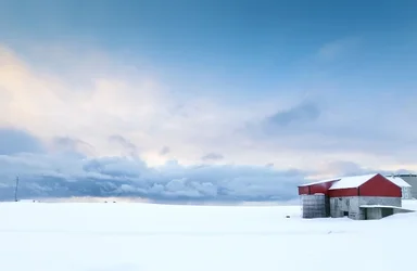 $JoeLeBean-Norway05.webp