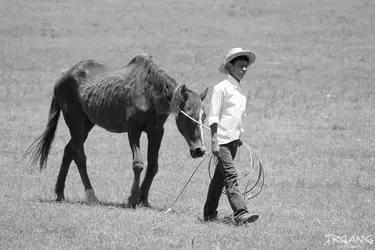$kidHORSE.jpg $kidHORSE.jpg