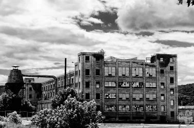 $_DSC0038-Edit-Edit.webp