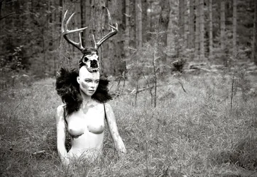 $deer.webp $deer.webp