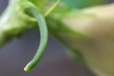 $bean_filtered.webp $bean_filtered.webp
