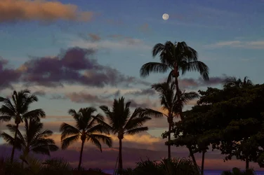 $Maui 2013-2.webp