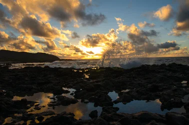 $Oahu-2_1136b.webp