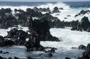 $Maui_RTH 0830.webp