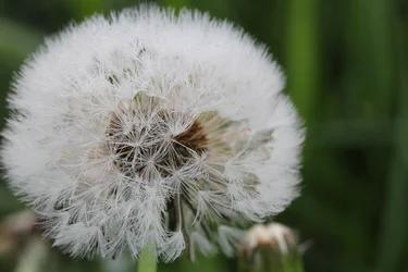 $IMG_5440.webp