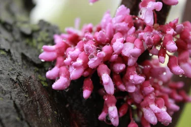 $IMG_4723.webp