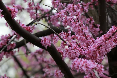 $IMG_4784.webp