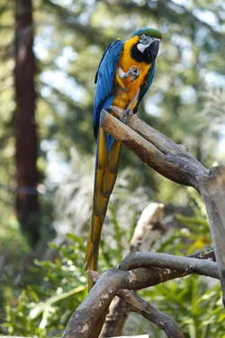 $highres_105815112.webp