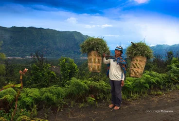 $bromo paradise 3.webp