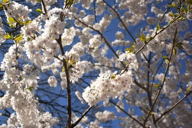 $_MG_1795.webp