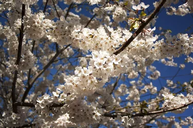 $_MG_1796.webp