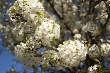 $_MG_1851.webp