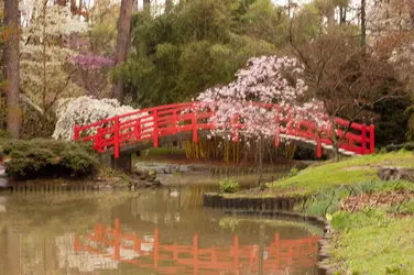 $_09DSC_6331.webp