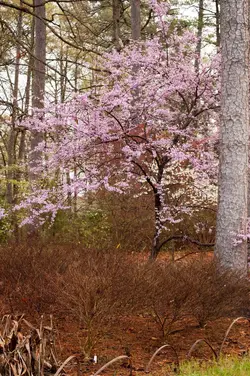 $08-DSC_6325.webp