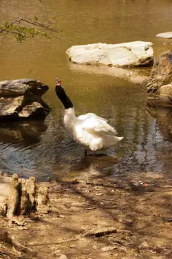$07-DSC_6402.webp