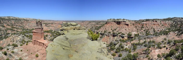 $palo duro small.webp