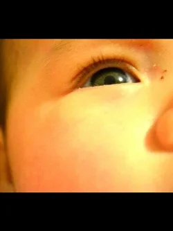 $Screen_20120115_231515.webp $Screen_20120115_231515.webp