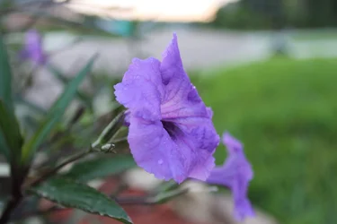 $IMG_1179.webp