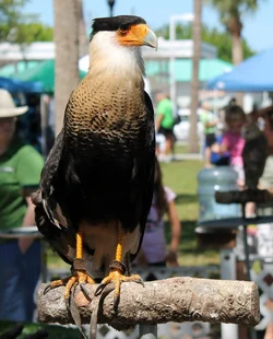 $IMG_2709.webp $IMG_2709.webp