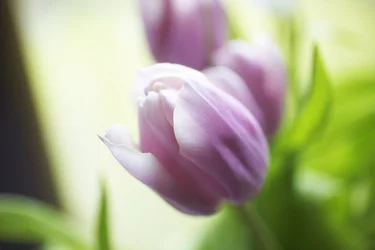$IMG_4878.webp