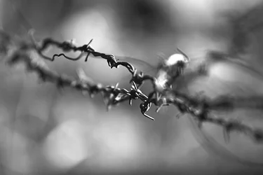 $_MG_3707bw.webp