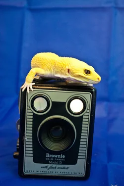 $Photographer Boy 3.webp $Photographer Boy 3.webp