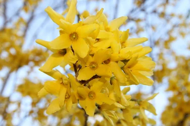 $IMG_0036.webp