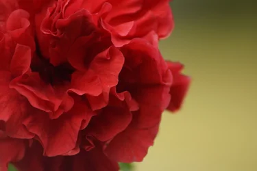 $_DSC0797.webp $_DSC0797.webp