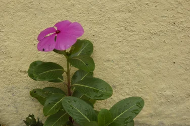 $_DSC0840.webp $_DSC0840.webp