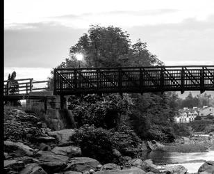 $9307115525_d690934393_o_Orange filter.webp $9307115525_d690934393_o_Orange filter.webp