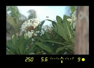 $canon_viewfinder.webp