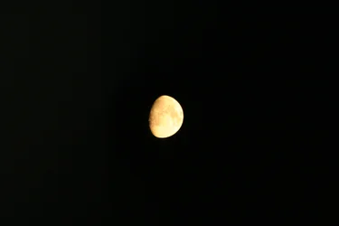 $IMG_2973.webp