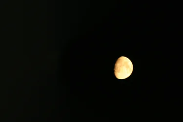 $IMG_2974.webp